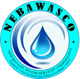 NEBAWASCO Logo